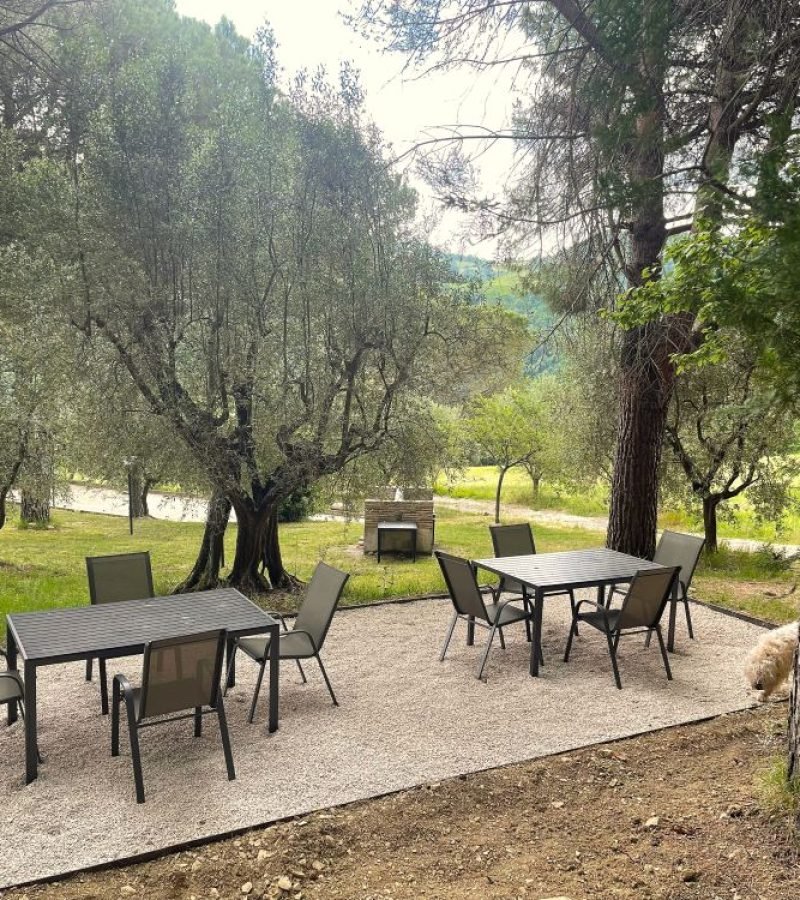 CAMPO BOCCFE AREA BARBECUE PICNIC PIC NIC SOTTO GLI ULIVI LA PANORAMICA GUBBIO AGRITURISMO CON PISCINA